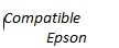 Compatible EPSON